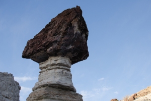 Big Bend Photos
