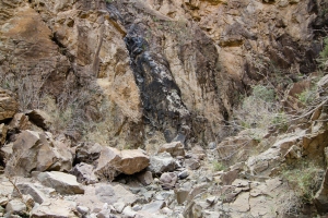 Big Bend Photos