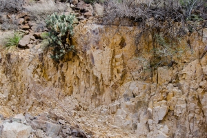 Big Bend Photos