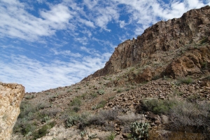 Big Bend Photos