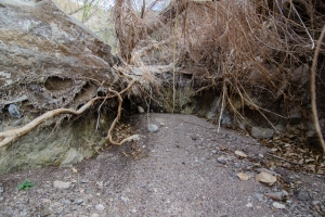 Big Bend Photos