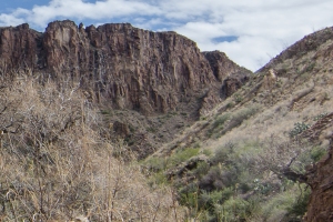 Big Bend Photos