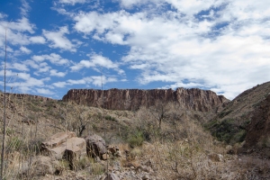 Big Bend Photos