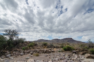 Big Bend Photos
