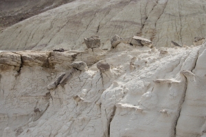 Big Bend Photos