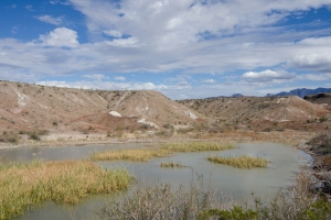 Big Bend Photos